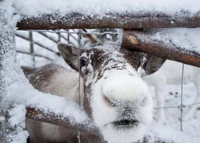 North Galaxy 22c By Hilla 公寓 *