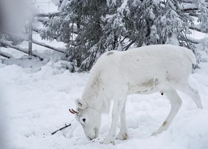 North Galaxy 22c By Hilla 公寓 *